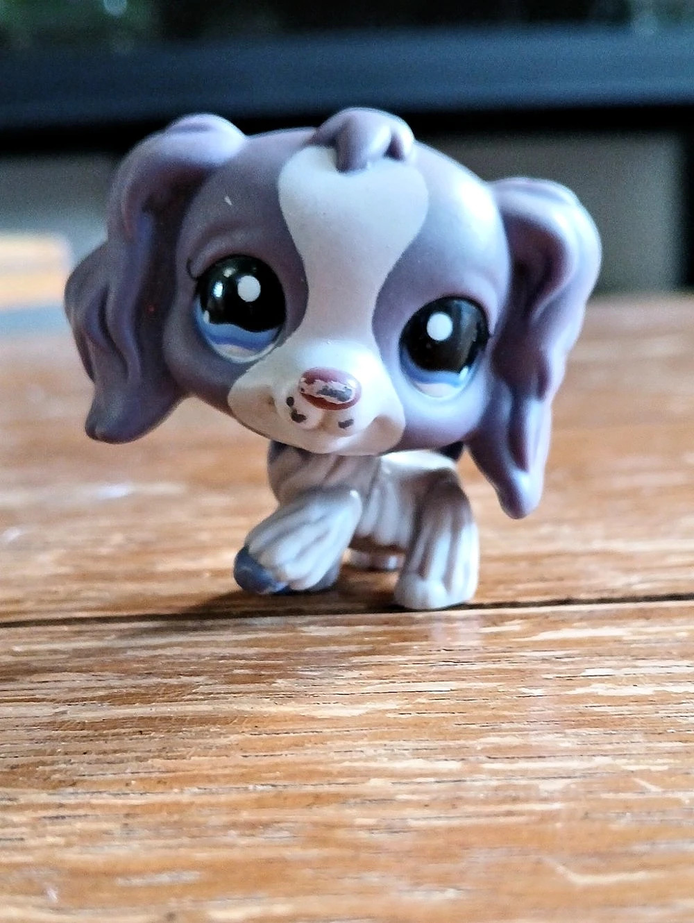 Hasbro Littlest Pet Shop Cocker Spaniel #672 Purple & White Figure
